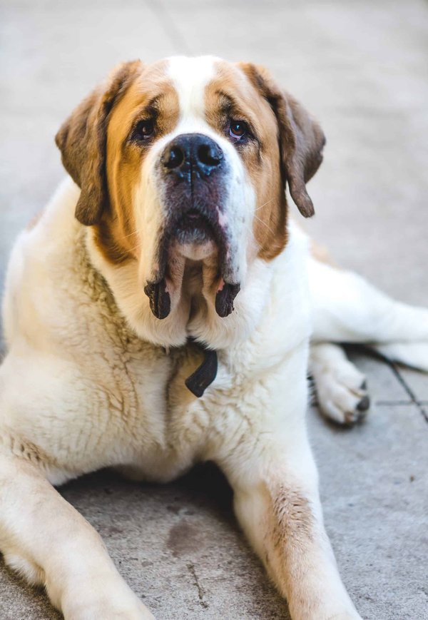 Qui est Jean-Bernard Lafonta ?