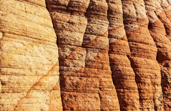 Comment apprendre à trader ?