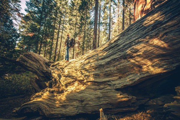 Comment planifier une exploration urbaine sécurisée dans les métropoles abandonnées ?