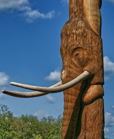 Animal Totem : tout ce qu'il faut en savoir